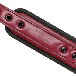Coleira Com Corrente Com Forro De Neoprene