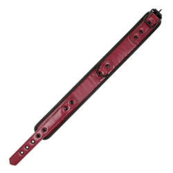 Collar With Chain With Neoprene Lining
