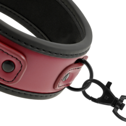 Coleira Com Corrente Com Forro De Neoprene