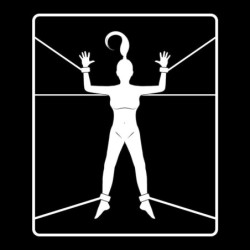 Set van handboeien en bondagebanden met neopreen voering