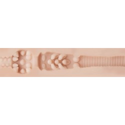 Stoya Destroya Punci