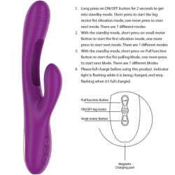 Apolo Vibromasseur Multifonction Rechargeable 7 Vibrations Avec Langue Oscillante Violet
