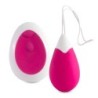 Jan Ei Vibrator Afstandsbediening Roze