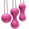 Bile Kegel Ami - Fucsia