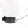 Collare Con Guinzaglio 65 Cm Fibbie Argentate Regolabile 33-46 Cm X 5.5 Cm