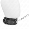 Collar With Leash 65 Cm Basic Model Model 1 53 X 6 Cm