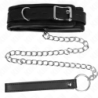Collar With Leash 65 Cm Basic Model Model 1 53 X 6 Cm