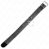 Collar With Leash Basic Model Model 4 Adjustable 36-43 Cm