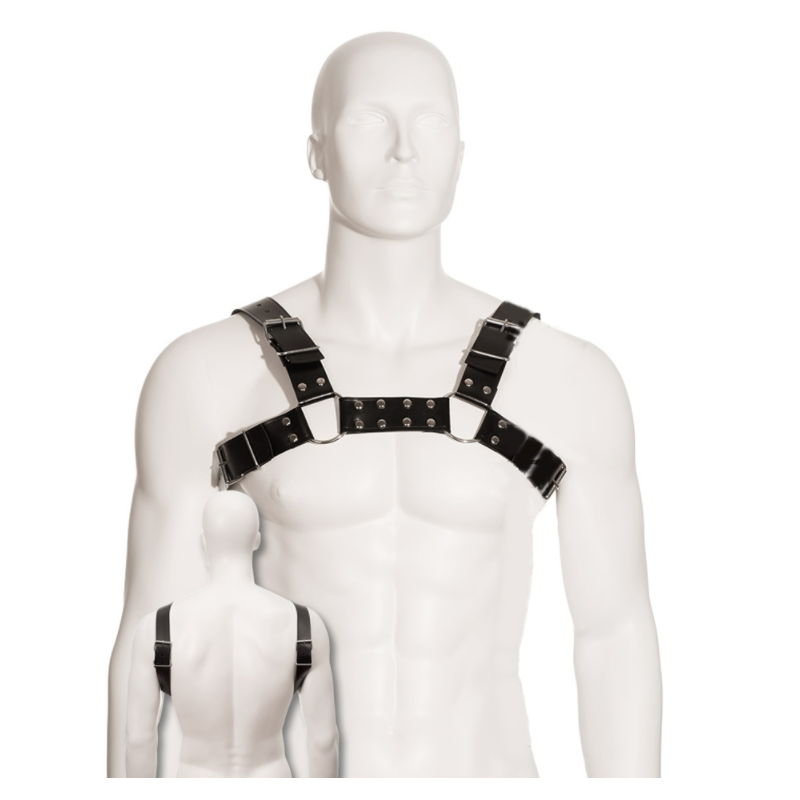 Schwarzes Bull Dog Harness