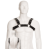Schwarzes Bull Dog Harness
