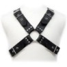 Buckles Harness