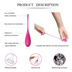 Kegel Fit Entrenador Sòl Pelvià 6 Pesos