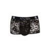 Romance Boxer M