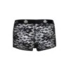 Romance Boxer M