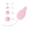 Desarrollador Suelo Pelvico Kegel Sistema De Pesos