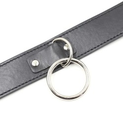 Unterwerfungs-Halsband mit Leine