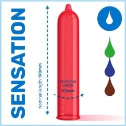 Kondom Eco Pack Geschmacksrichtungen Beutel 288 Stück