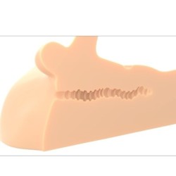 Masturbator Perfekt Ride Penis Og Anus