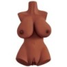Perfect 10 Pruun Torso