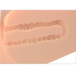 Torso Masturbatore Ez Bang Femminile Realistico