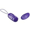Arvin Youth Vibrator-Ei Fernbedienung Violett