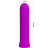 Blanche Vibrator Stimulator Roza