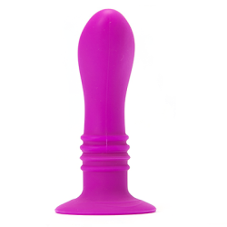 Booty Passion Plug com Vibração 10V