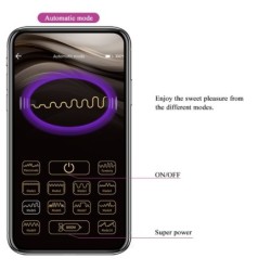 Elvira Rechargeable Pink Vibrating Balls