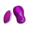 Flirtation Vibrador de Ovo com Controlo Remoto Avery