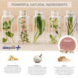 Sizegain Plus Peenise Pikendamise Tabletid