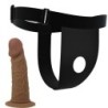 Cuecas Arnês Com Dildo Incluído