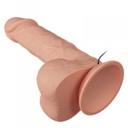 Wunderschöne Begegnung Bahamut Vibration 21.8 Cm Natural