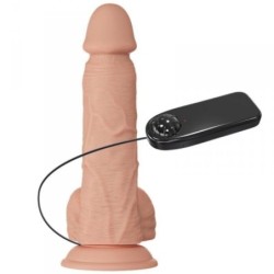 Wunderschöne Begegnung Bahamut Vibration 21.8 Cm Natural