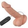 Wunderschöne Begegnung Zebulon Vibration 19.4 Cm Natural