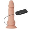 Wunderschöne Begegnung Zebulon Vibration 19.4 Cm Natural