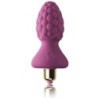 Assberries Raspberry Anālāis Plug