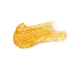 Pretty But Wild Olio Scintillante Corpo Monodose