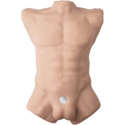Apollo L Realistisk Mandlig Torso