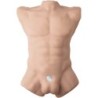 Apollo L Realistisk Mandlig Torso
