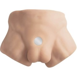 Apollo S Realistische Mannelijke Onder Torso