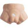 Apollo S Torso Bajo Realistico Masculino