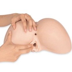 Daphné Masturbateur Anal Réaliste Féminin