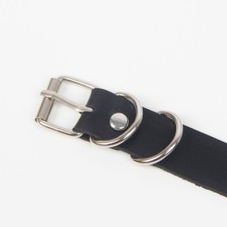 Harnisch Strapsgürtel mit Ringen Einheitsgröße