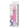 Schmetterling Tulpe Rotator Up & Down