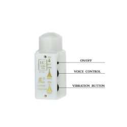 Mr. Big Realistischer Penis- und After-Masturbator