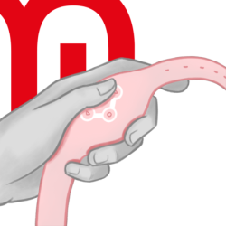 Sat s daljinskim upravljačem bežične tehnologije Rosoral