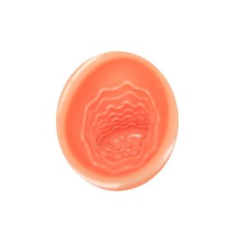 Oral Sex Lover 30V z adapterjem