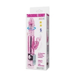U.S. Rabbit Pounding Bunny