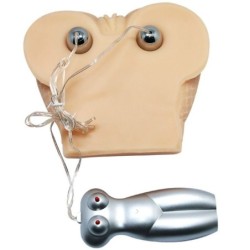 Realistická Vagina A Anus S Pletivem