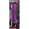 Daugiafunkcis Violetinis Vibratorius